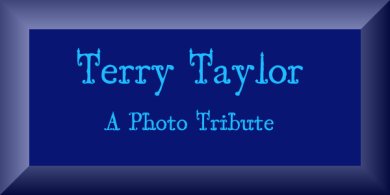 Terry Taylor, A Photo Tribute
